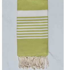 Beach towel arthur pistachio green