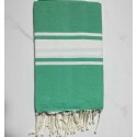 beach towel flat    green