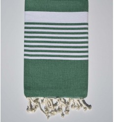 arthur green beach towel...