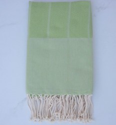 chevron light olive green