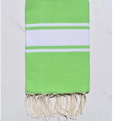 beach towel flat light green
