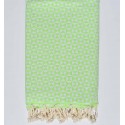 Fouta papillon vert printemps