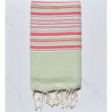 Arabesque vert clair et rose