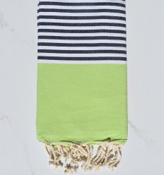 Fouta plate vert clair...