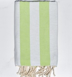 Fouta Alaska vert pistache 2