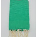 Fouta nid d’abeille unie verte