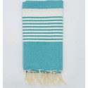 teal arthur beach towel with stripes