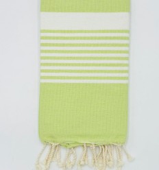 Fouta arthur vert pistache