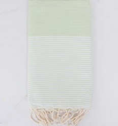  Beach towel Honeycomb pastel light green