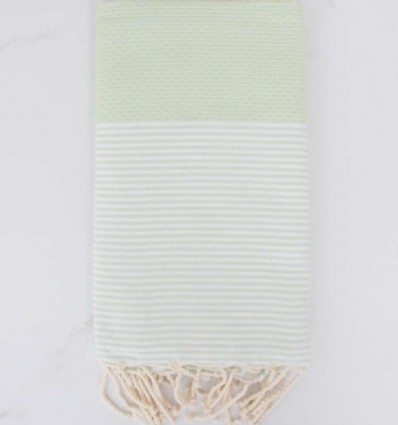  Beach towel Honeycomb pastel light green