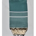 Chevron gazon foncé