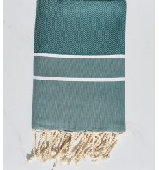 Chevron gazon foncé