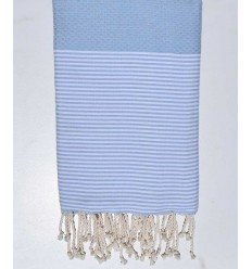 Honeycomb pale sky blue