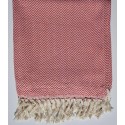 Pink chevron throw blanket